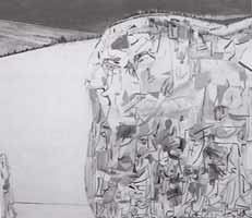 Amy Sillman