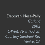Deborah Mesa-Pelly, Garland, 2002