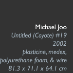 Michael Joo, Untitled (Coyote) #19