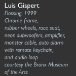 Luis Gispert, Flossing, 1999