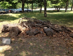 Hiroshi Sunairi, Elephant, 2010, pruned tree branches and mulch from Flushing Meadows Corona Park and Cunningham Park, Queens, twine.