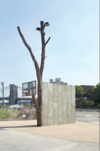 Oscar Tuazon, 'People,' sugar maple tree, concrete, metal basketball backboard and hoop, 2012.  Photo by Jason Wyche.