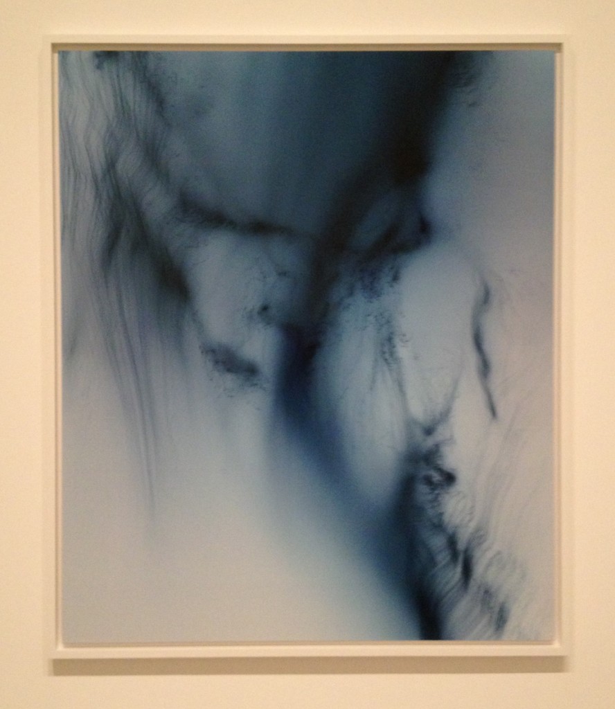 新品未使用 MOMA Wolfgang Tillmans S チャンピオン-