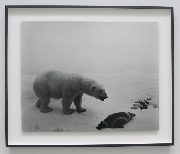 Hiroshi Sugimoto at Pace Gallery