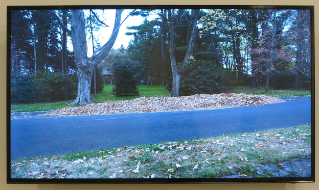 Andy Goldsworthy at Galerie Lelong